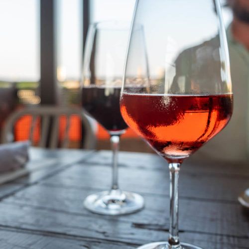 Looking for the Best Wine Bars & Wineries in Greenville, SC?