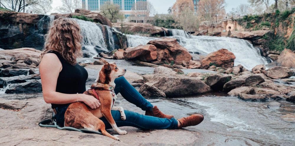 falls park - greenville sc - dog