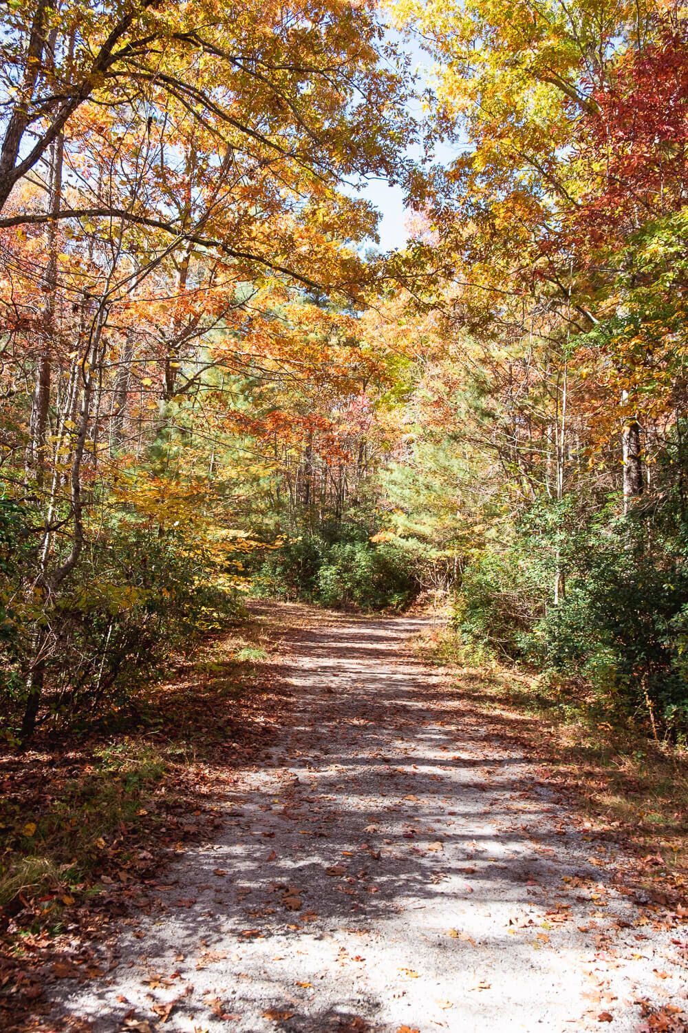 fawn lake road