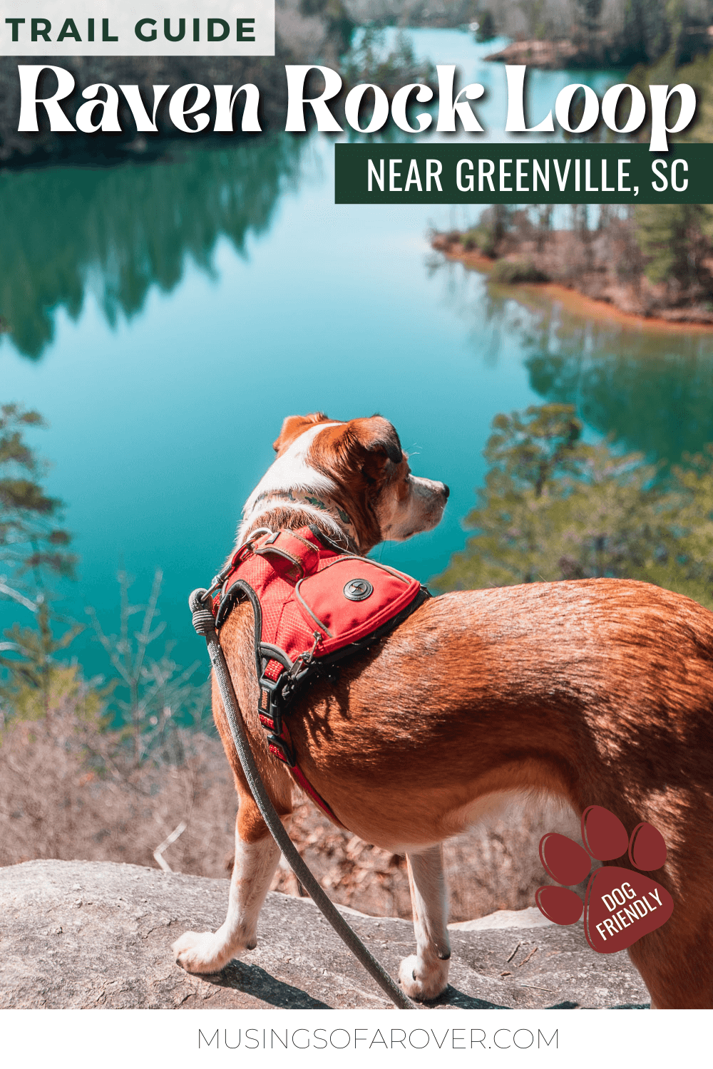 This hike will take you to Raven Rock an amazing view overlooking Lake Keowee. Plus you'll hike the Natural Bridge Trail as well as parts of the Eastatoe Passage of the Palmetto Trail. Don't miss this hike in Keowee-Toxaway State Park near Greenville, SC!