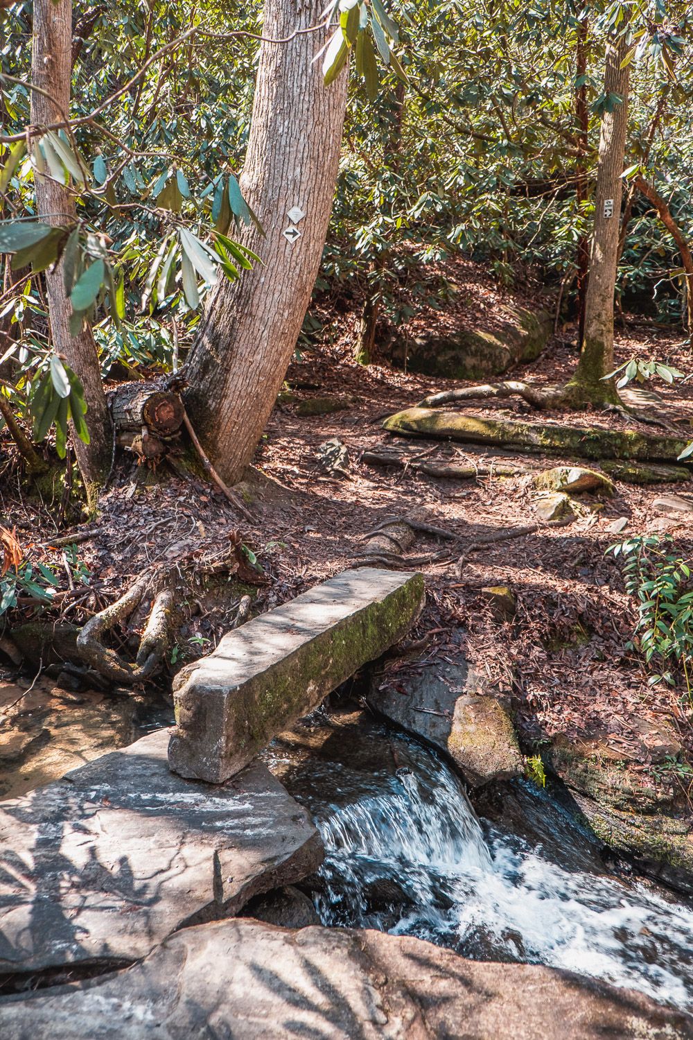 natural bridge trail