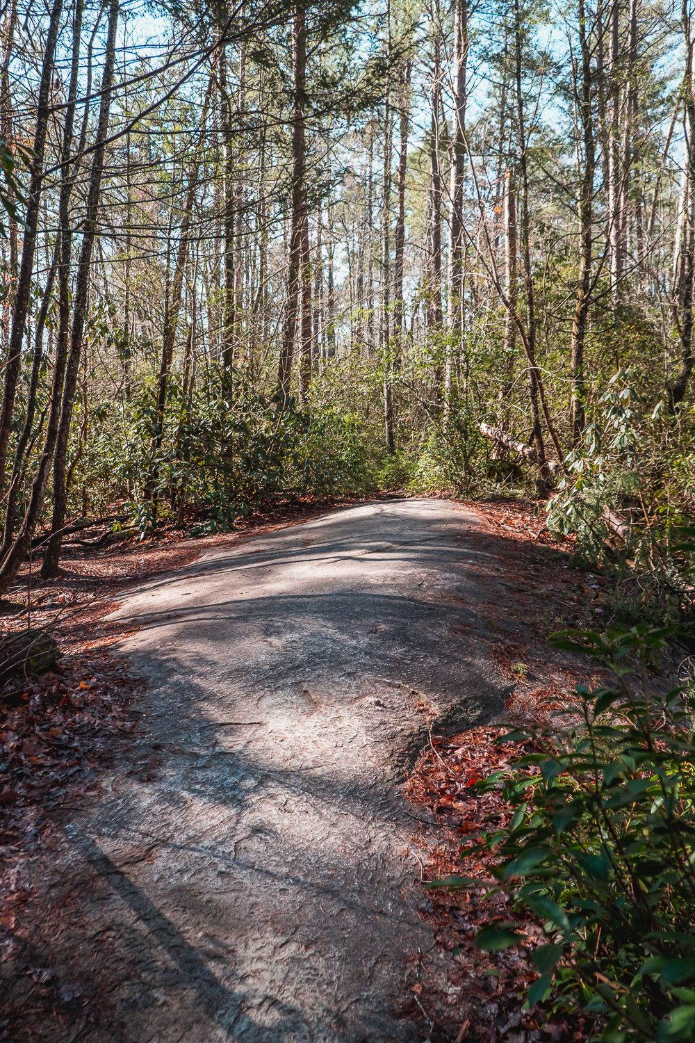 natural bridge trail