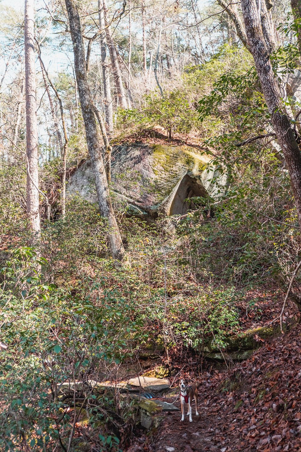 raven rock trail