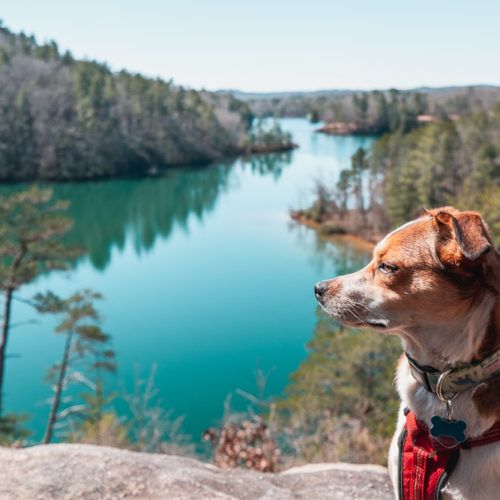 Hike the Raven Rock Loop [Trail Guide]