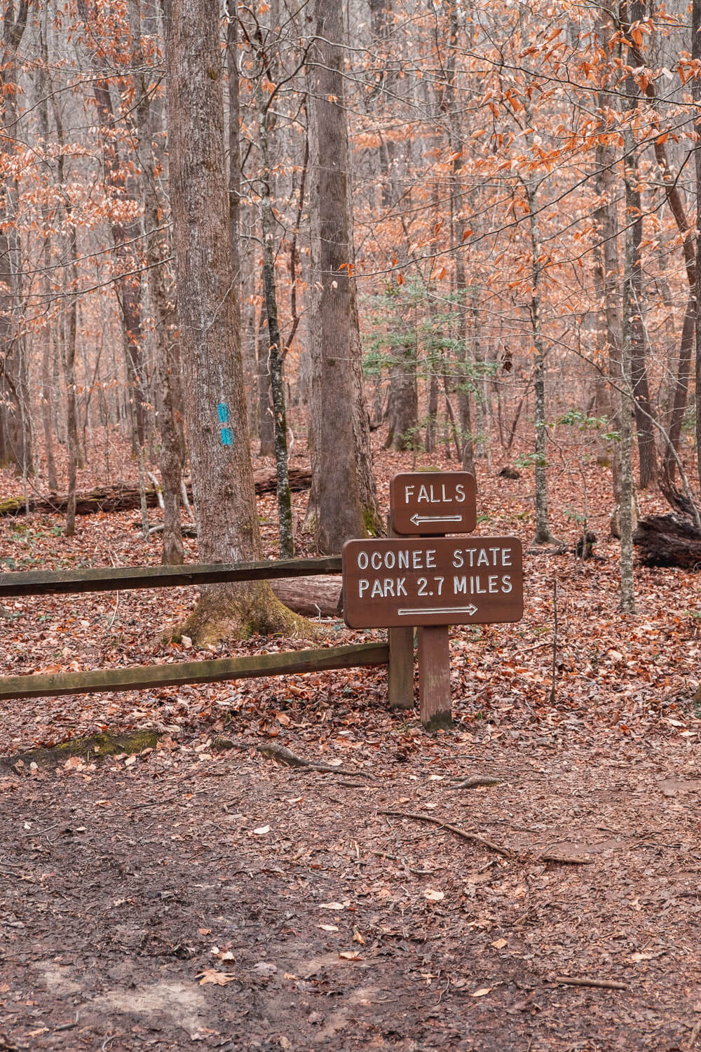 station cove falls trail