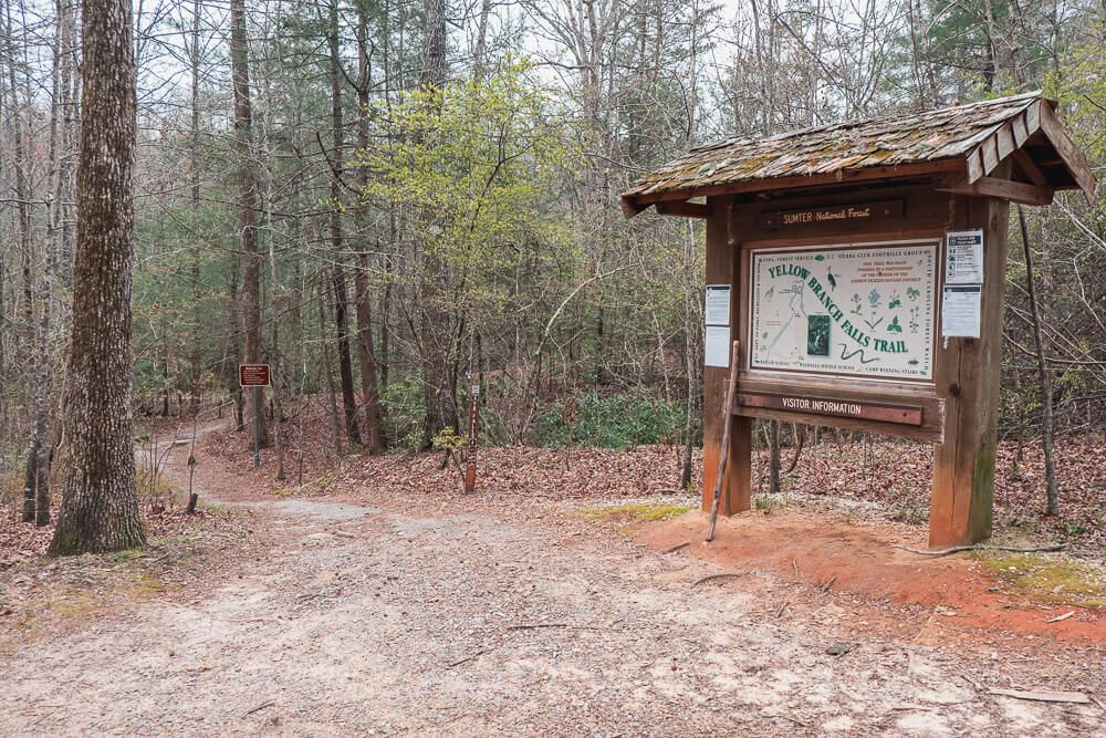 yellow branch falls trailhead