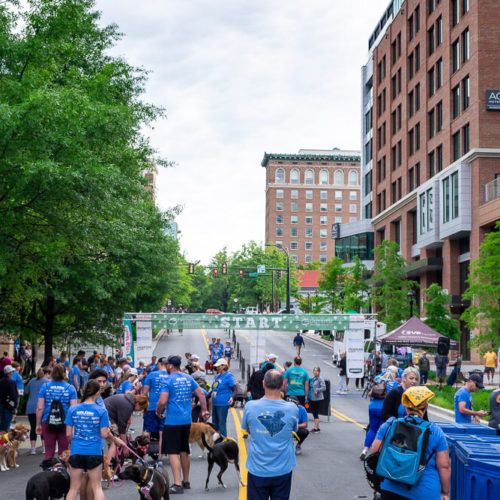 The Best Events for Running in Greenville SC