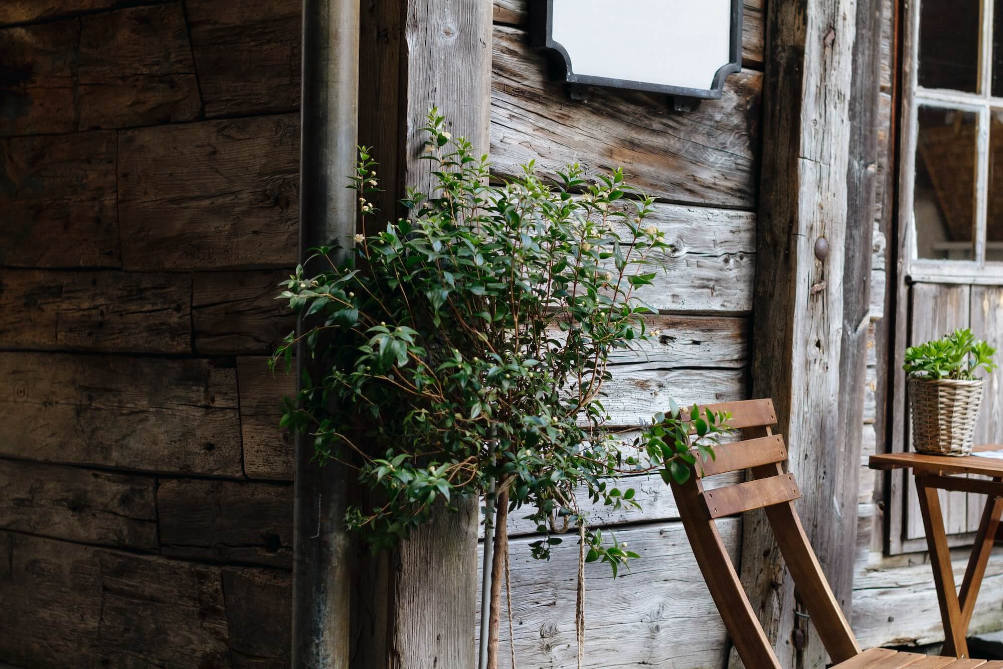 5 Dreamy South Carolina Tree Houses You Can Rent Near Greenville