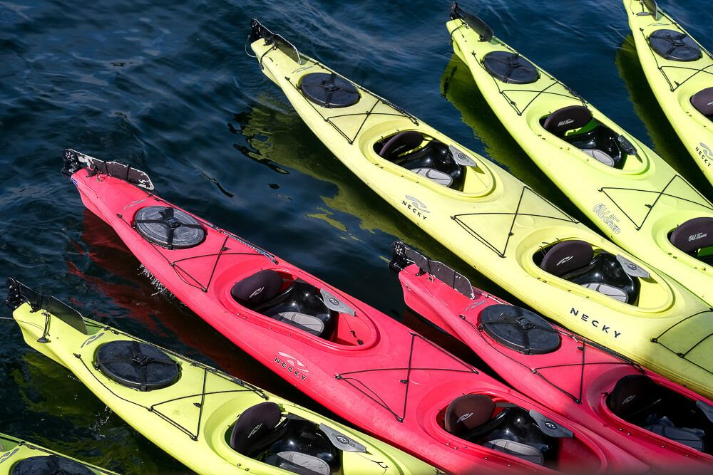 kayaks