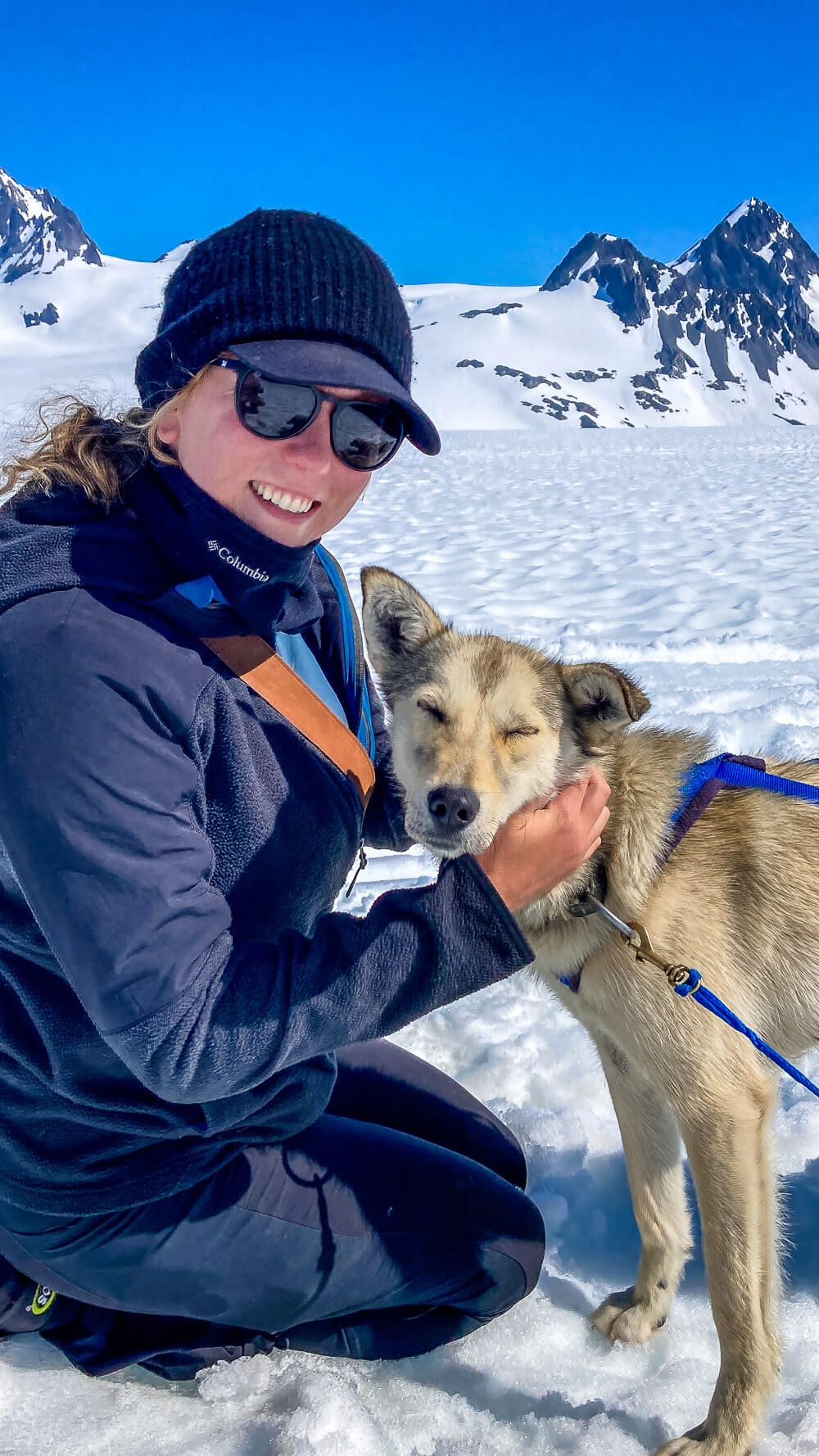 dog sledding in seward