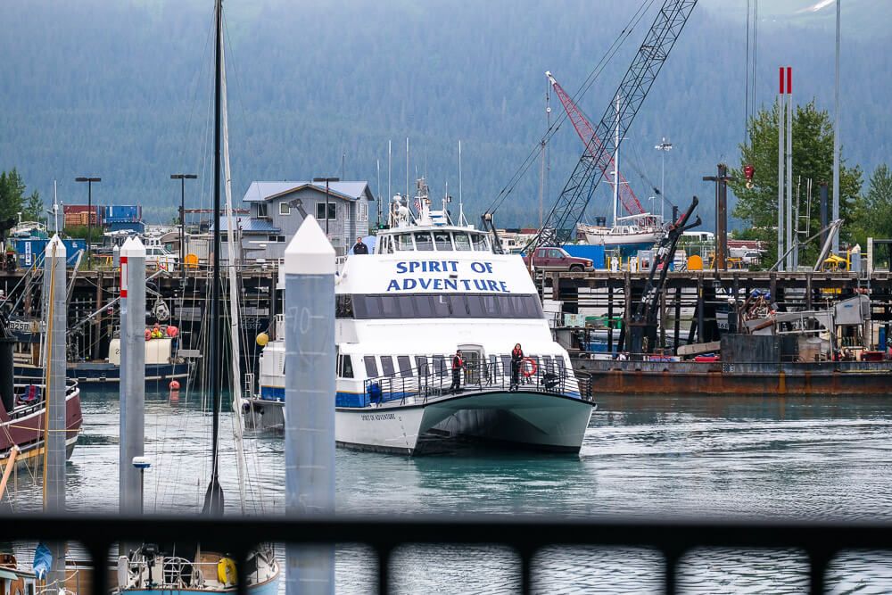 kenai fjords wildlife cruise