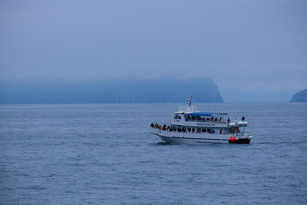 kenai fjords widllife cruise