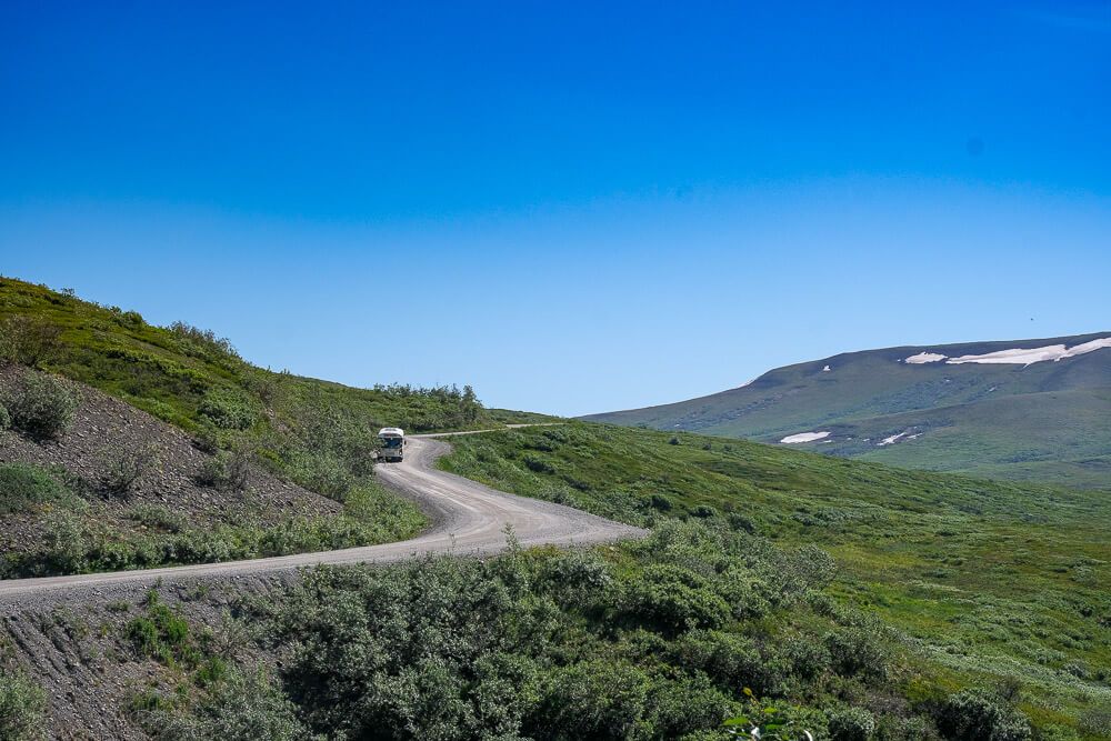 denali tundra wilderness tour review