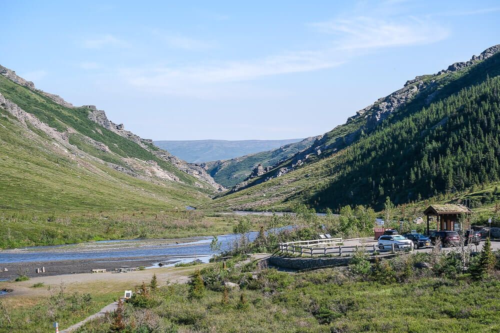 denali tundra wilderness tour review