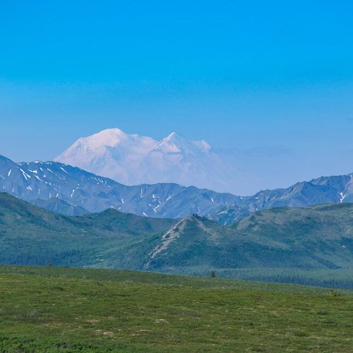 Should You Book the Denali Tundra Wilderness Tour? [Review]