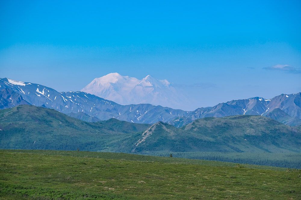 denali tundra wilderness tour review