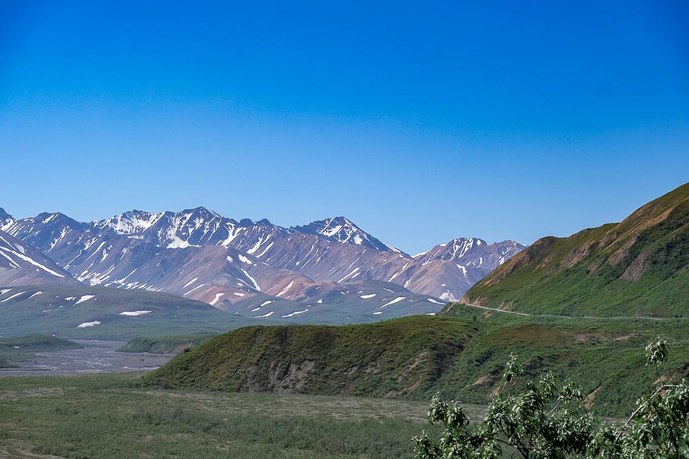 denali tundra wilderness tour review