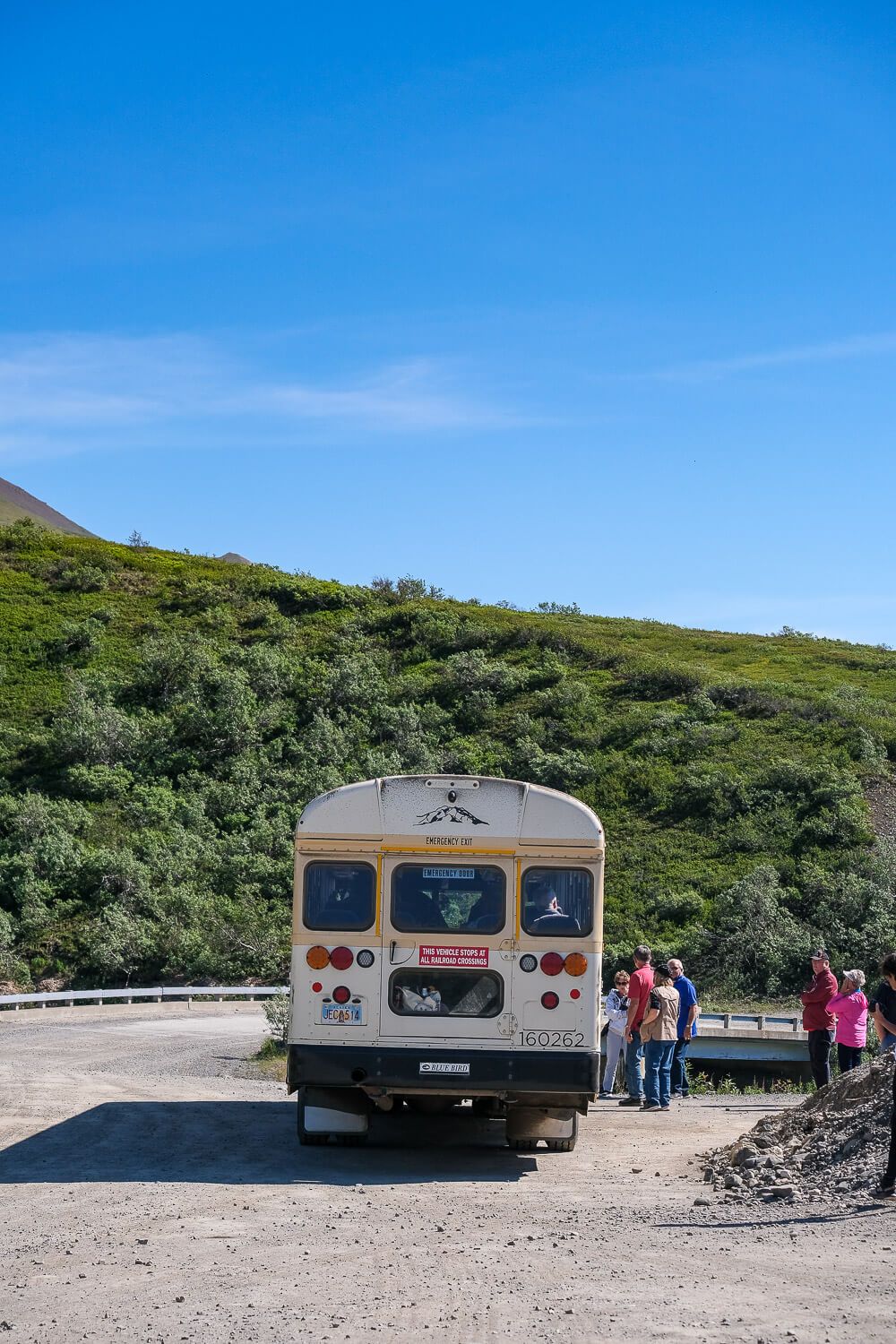 denali tundra wilderness tour review