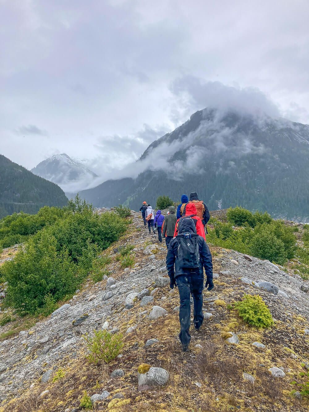 bushwhacking in thomas bay