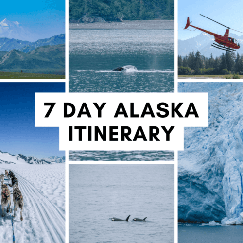 Epic 7 Day Alaska Itinerary: Denali & Seward