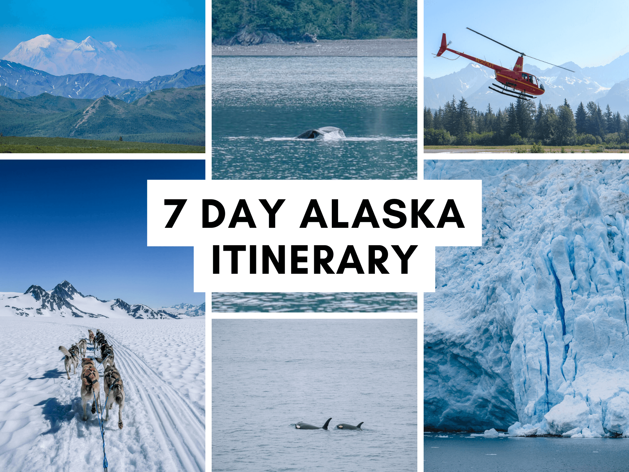 Epic 7 Day Alaska Itinerary: Denali & Seward