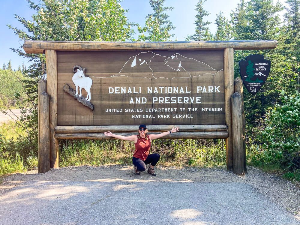 denali national park