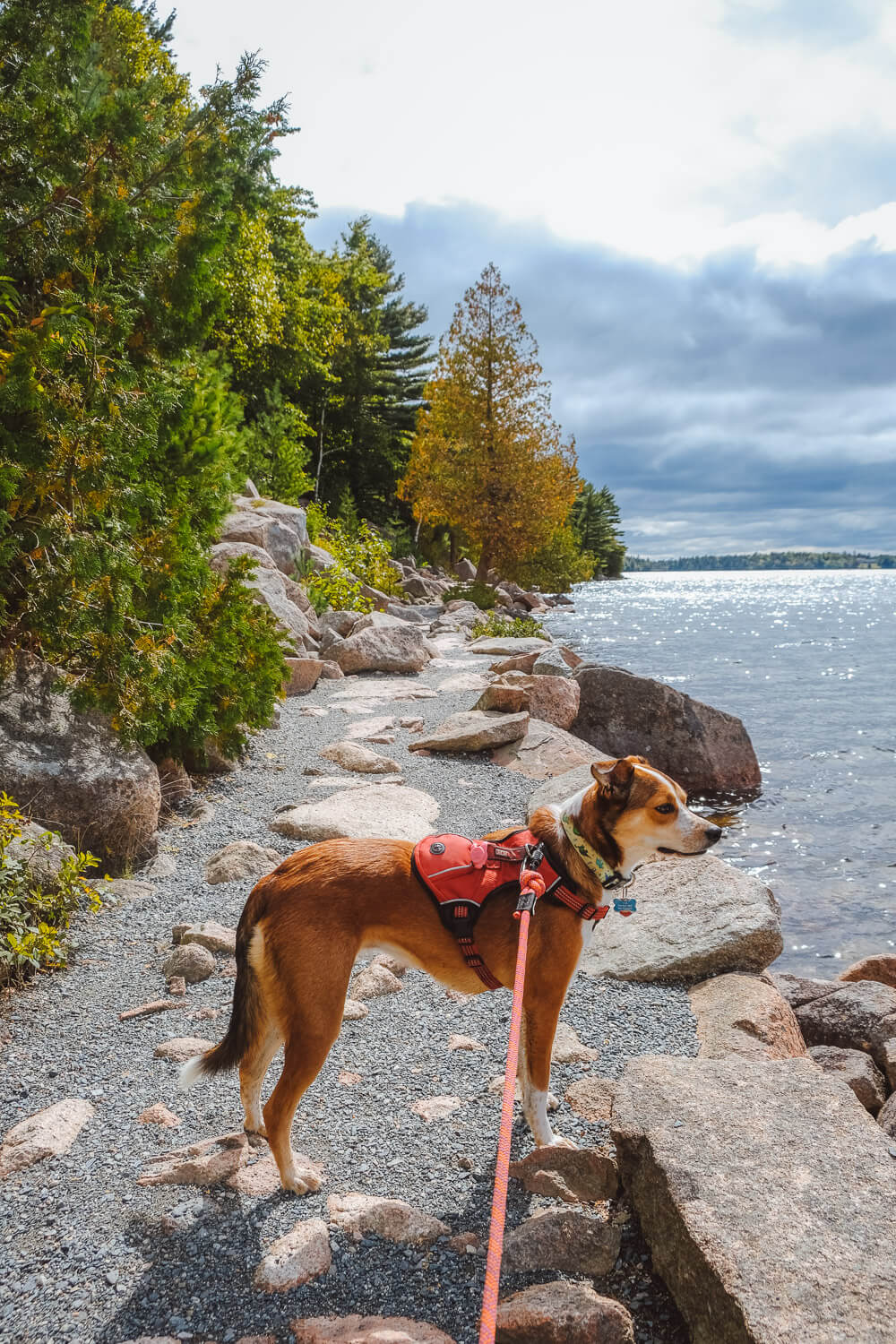 jordan pond path in acadia national park