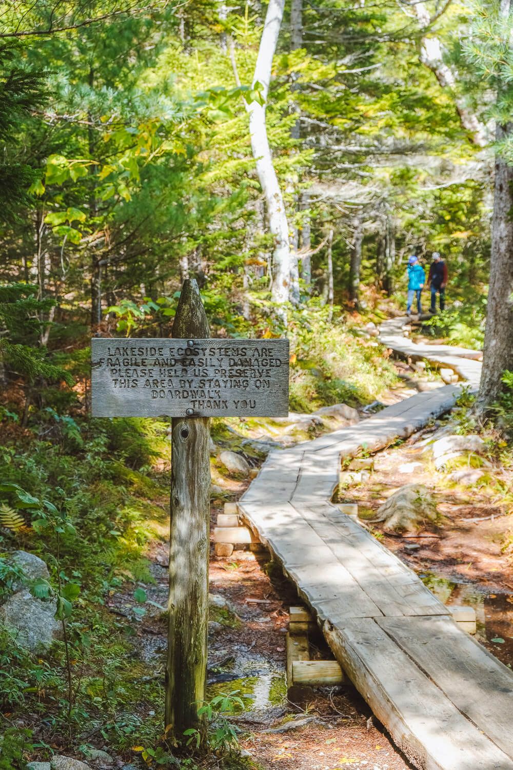 jordan pond path in acadia national park