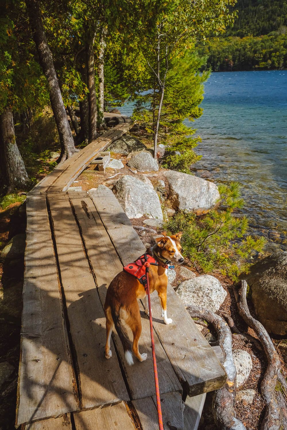 jordan pond path in acadia national park