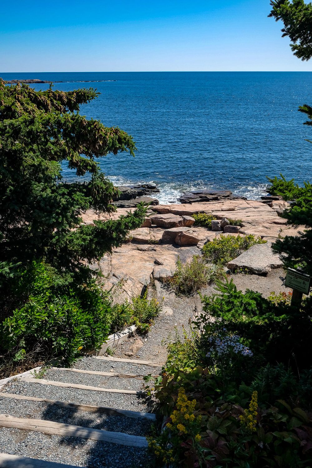 ocean path in acadia national park