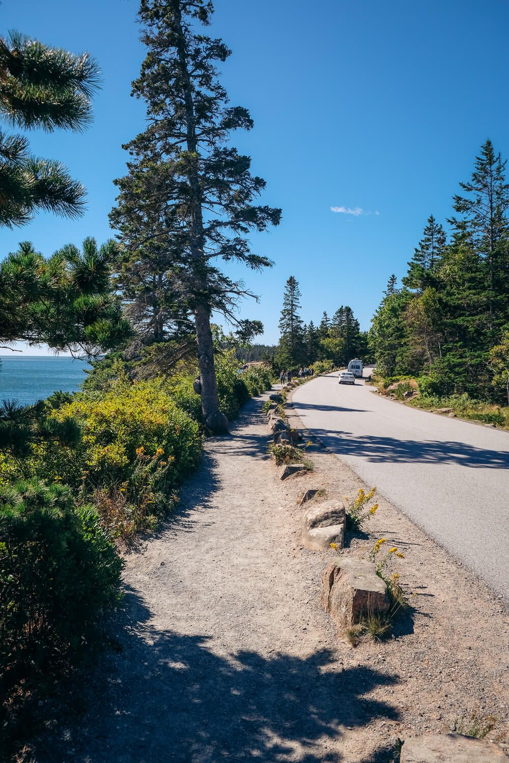 ocean path in acadia national park