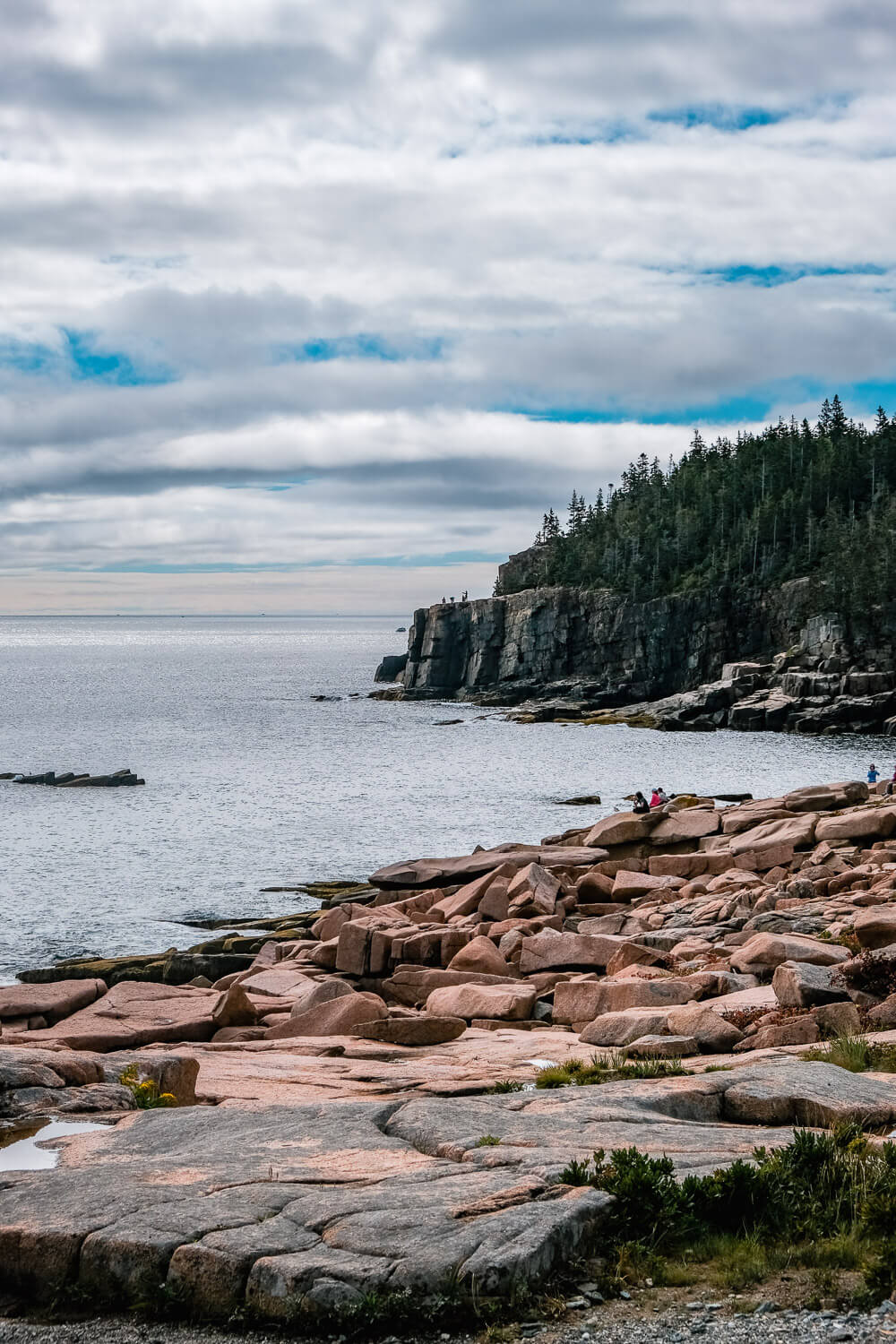 otter cliffs in acadia national park