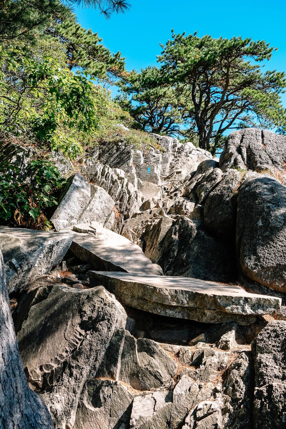 acadia mountain trail