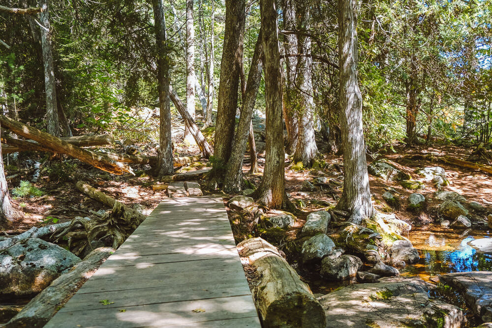 acadia mountain trail