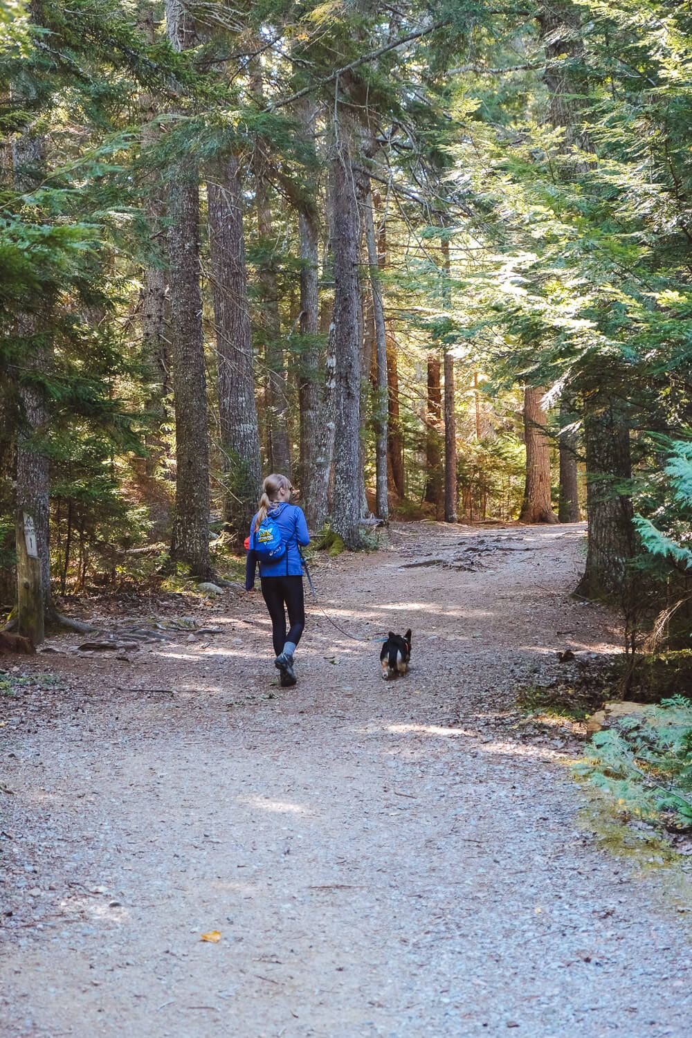 acadia mountain trail