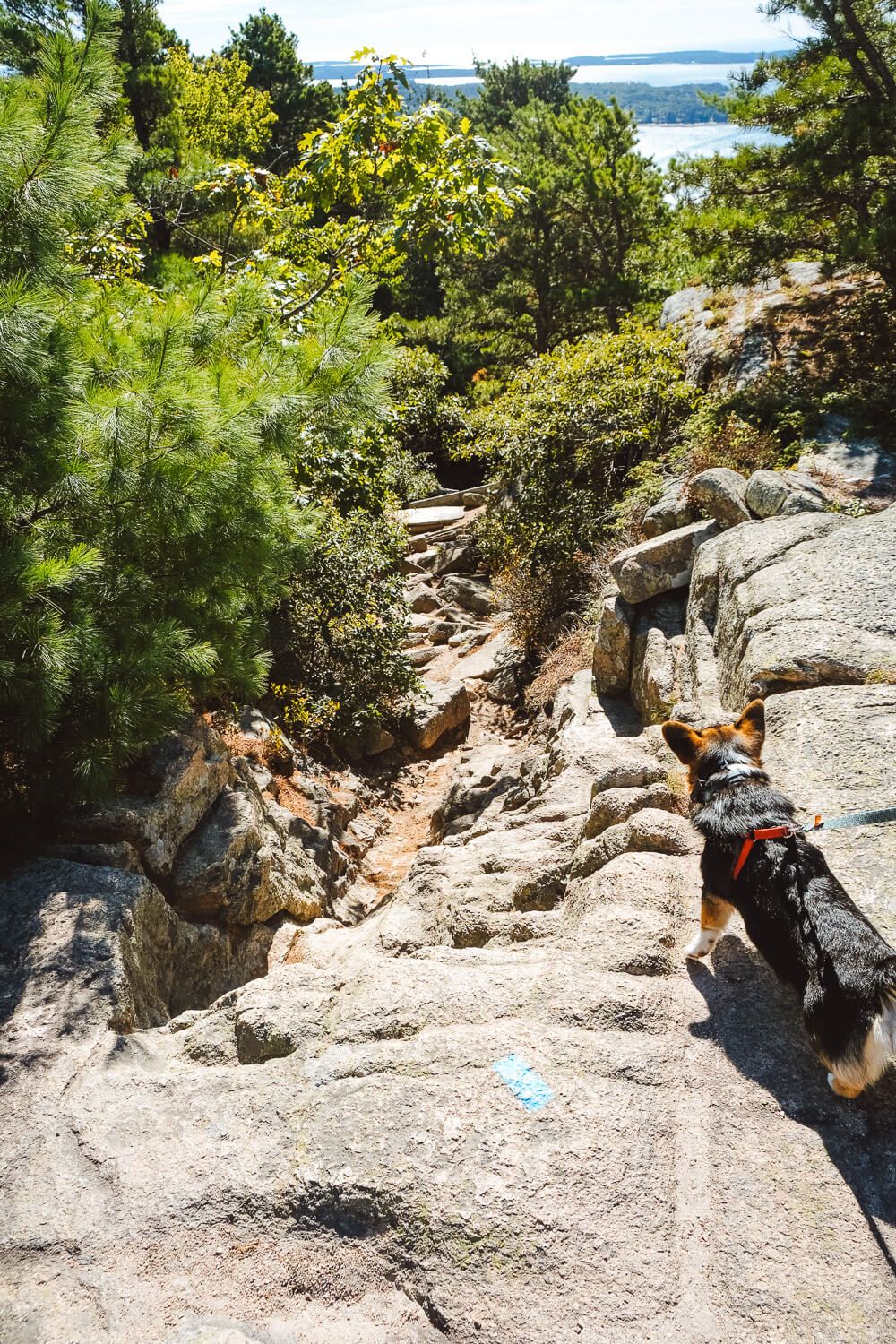 acadia mountain trail