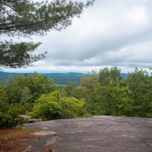 Glassy Mountain Trail at the Carl Sandburg Home [Trail Guide]