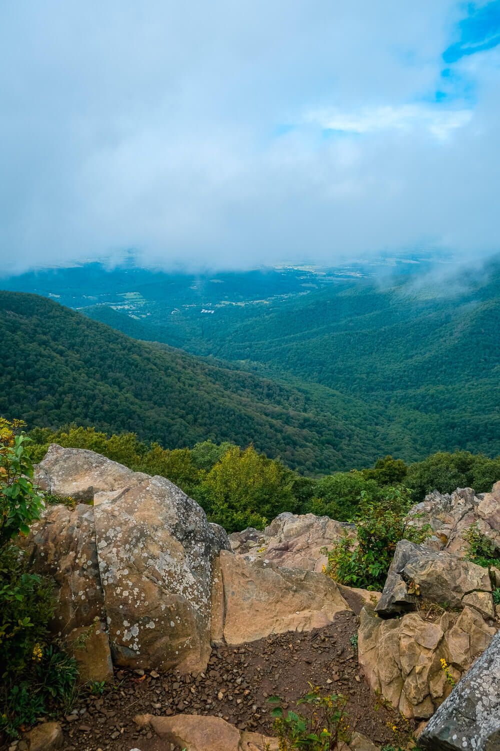 shenandoah national park with your dog: hawksbill