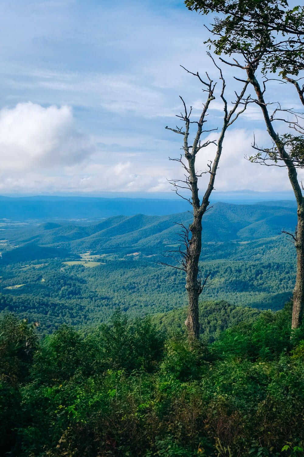 shenandoah national park