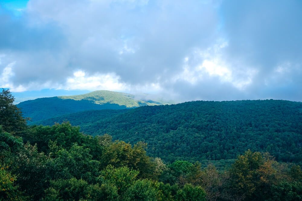 shenandoah national park with your dog: compton peak west