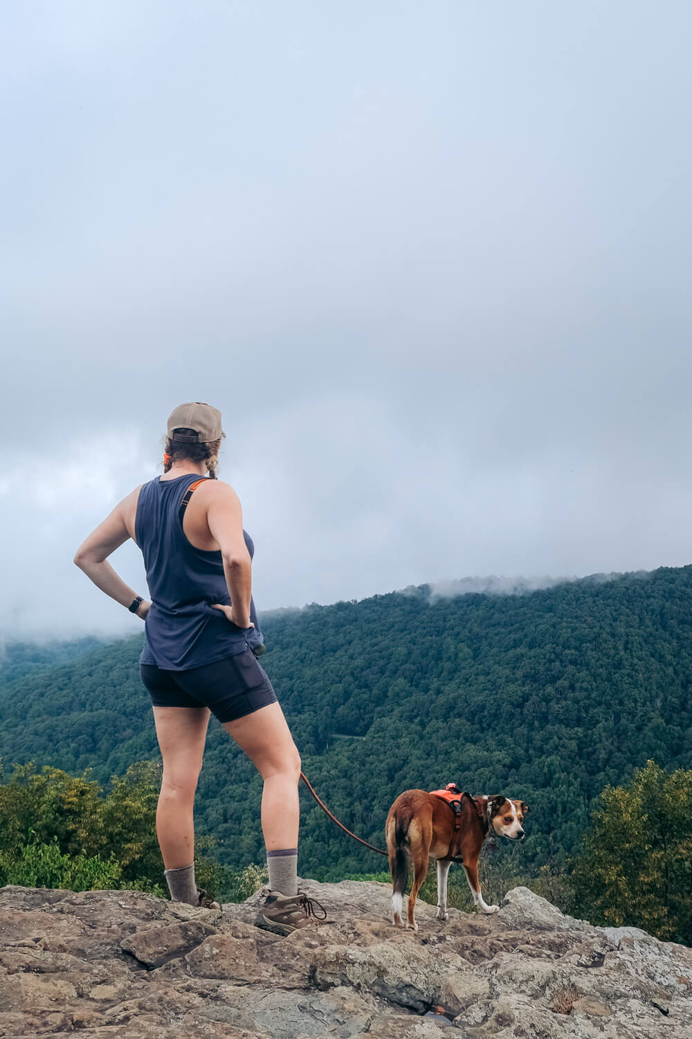 shenandoah national park with your dog: compton peak