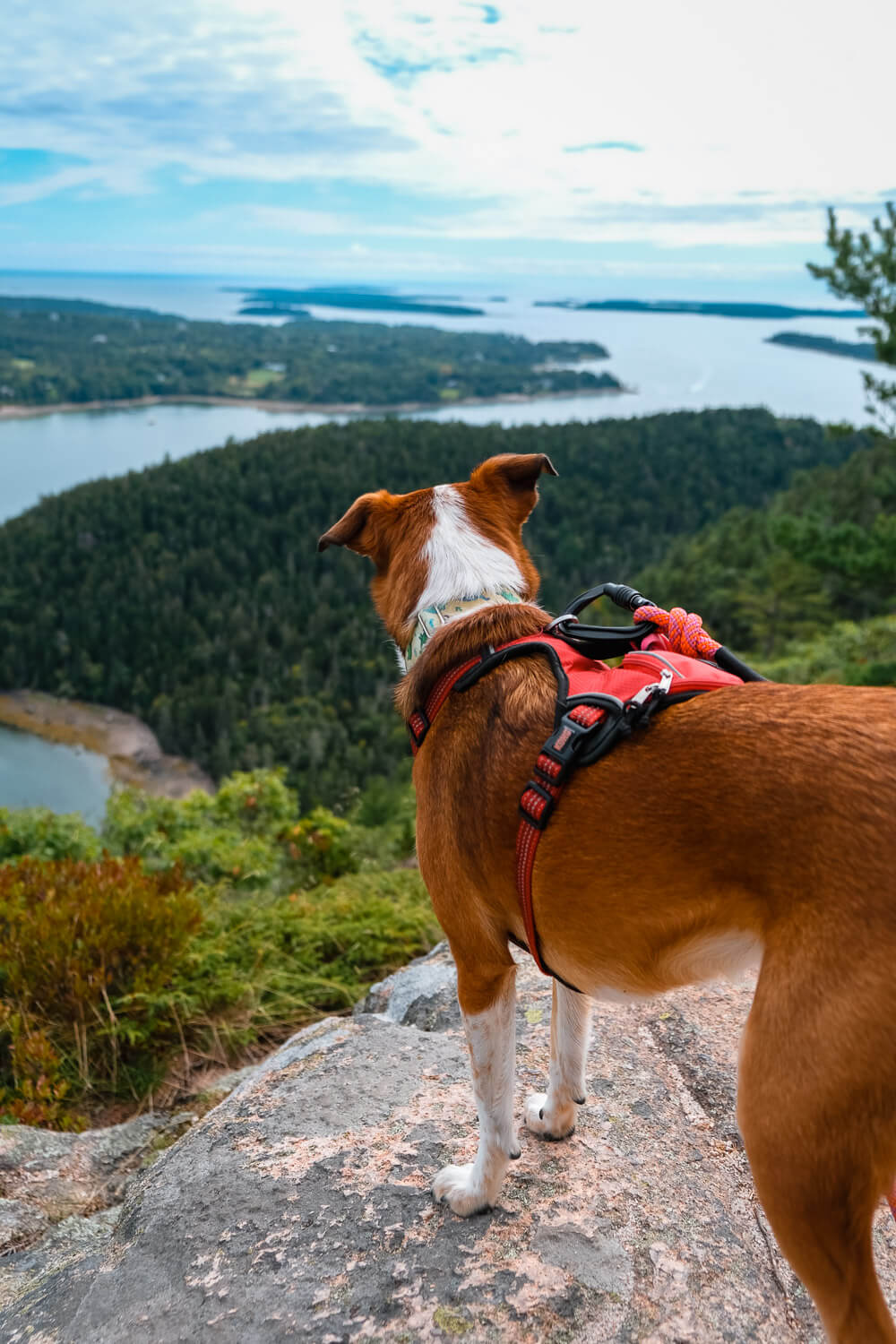 st sauveur mountain trail