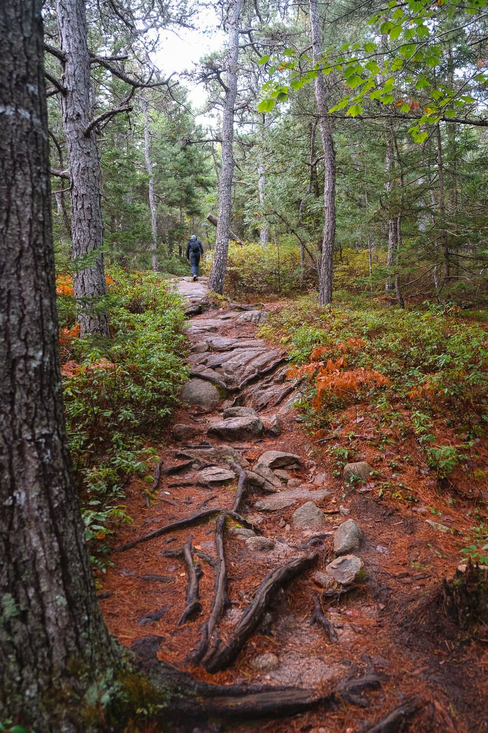 st sauveur mountain trail