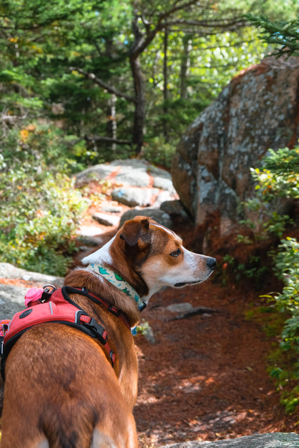 st sauveur mountain trail