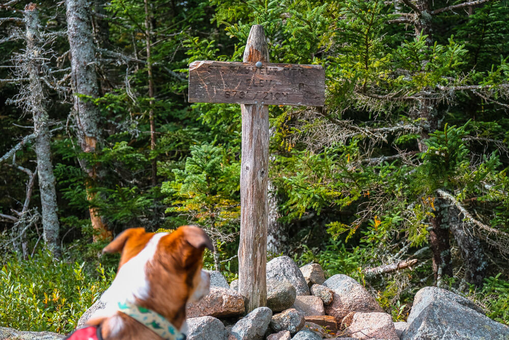 st sauveur mountain trail