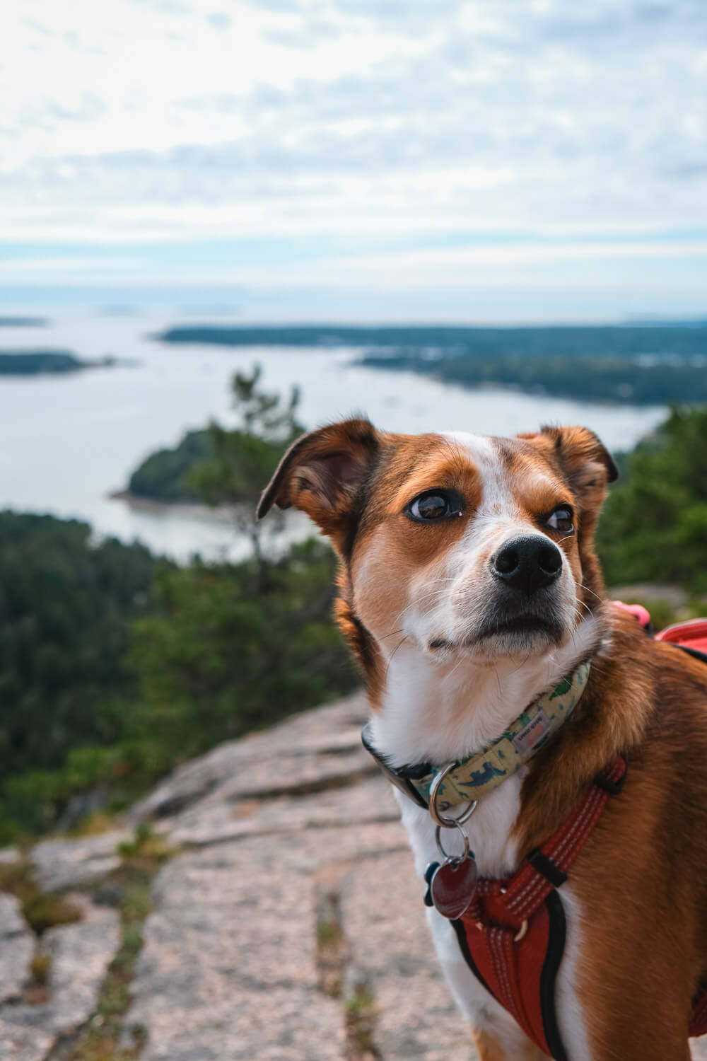 st sauveur mountain trail