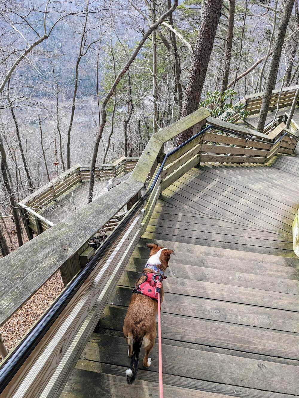things to do in new river gorge national park
