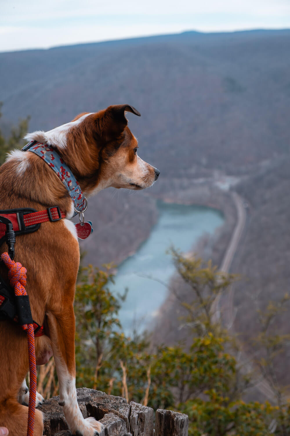 north overlook at grandview