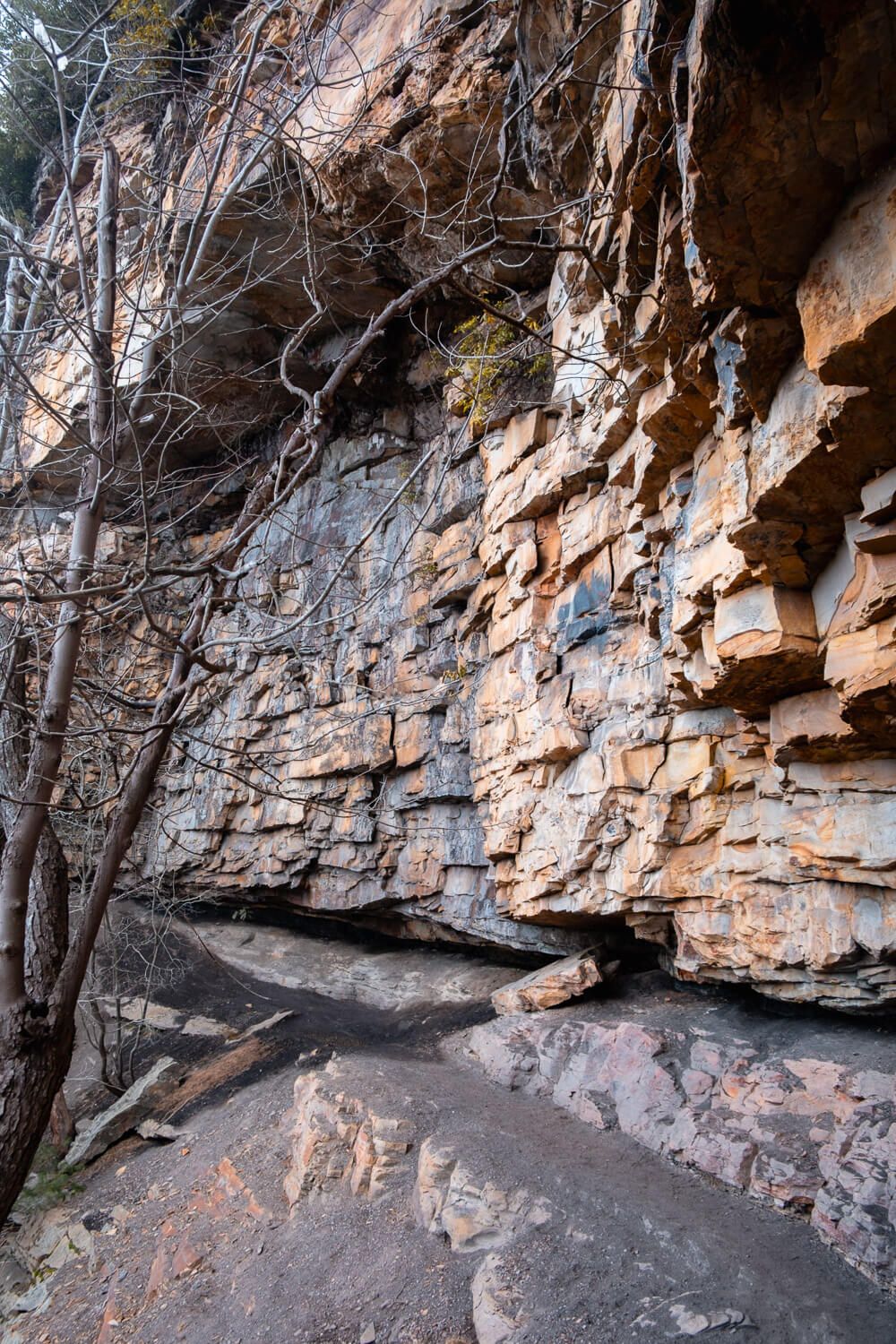 castle rock trail