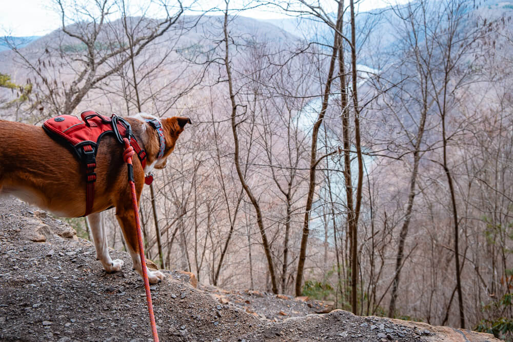 castle rock trail